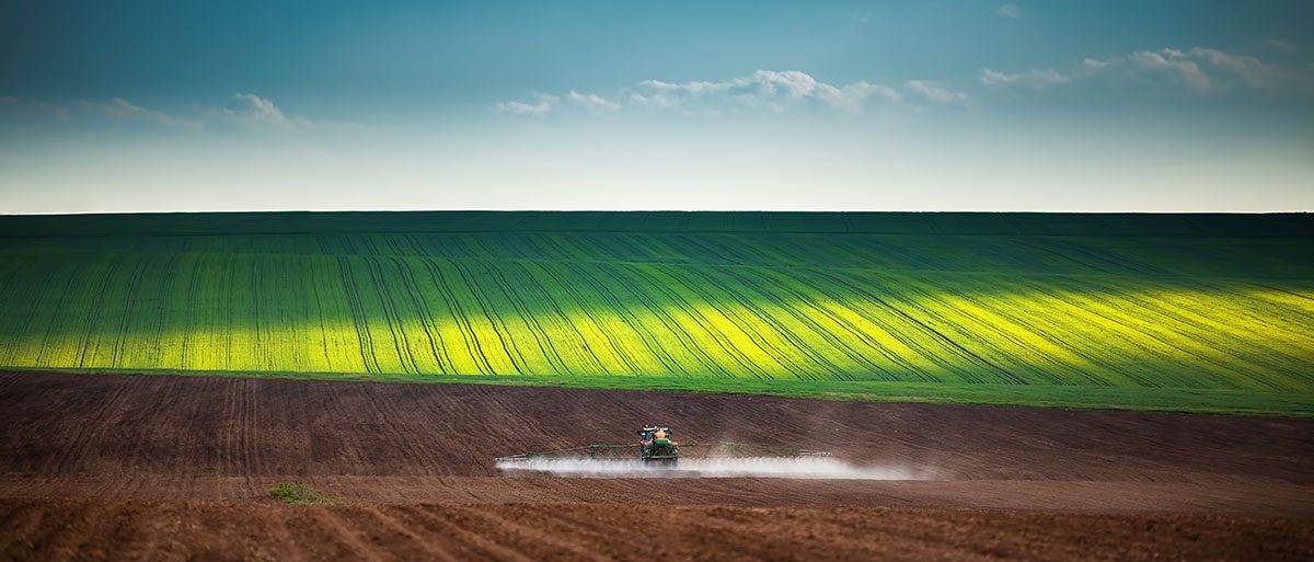 What does GMO mean, anyways?