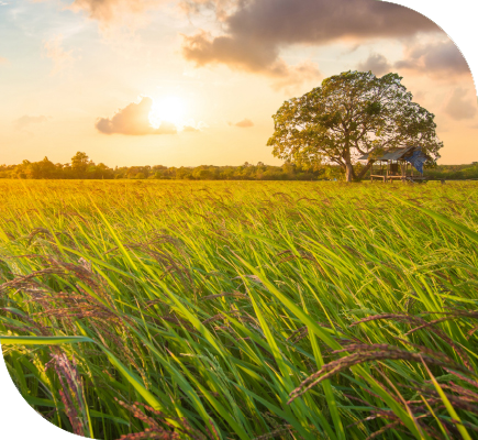 Crop Protection Traits